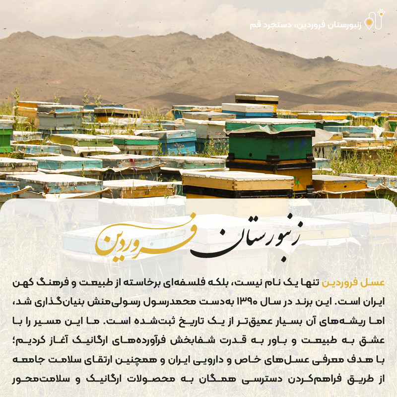 عسل دیابتی فروردین - 650 گرم