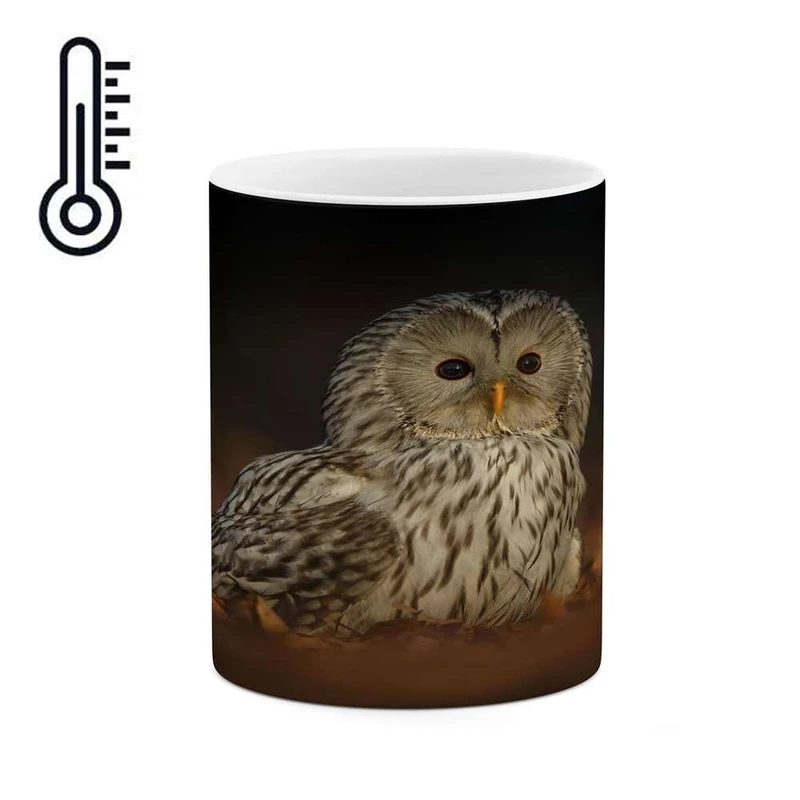 ماگ حرارتی کاکتی مدل جغد کد mgh16732