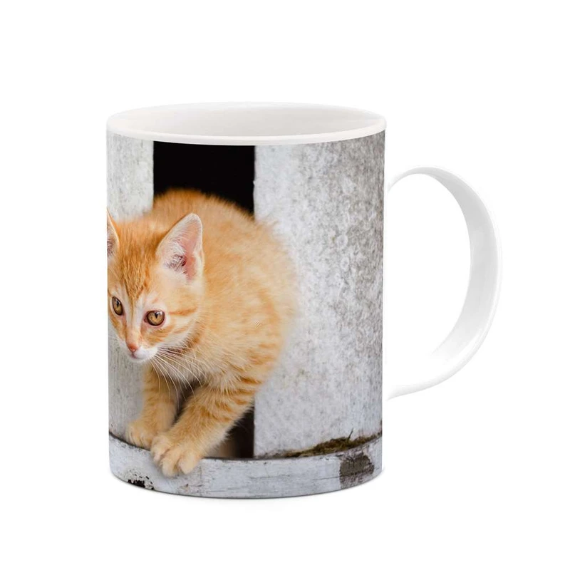 ماگ کاکتی مدل گربه کد mgh11287