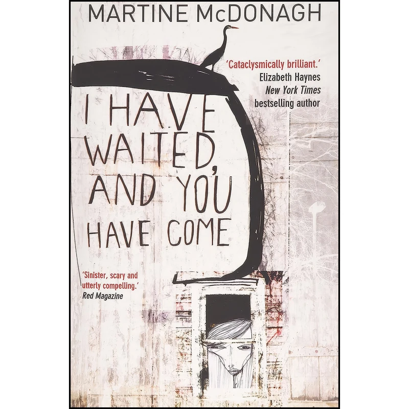 کتاب I Have Waited, and You Have Come اثر Martine McDonagh and John Davison انتشارات TEN TO TEN PUBLISHING