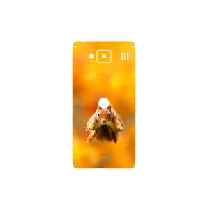 MAHOOT Squirrel Cover Sticker for Motorola Droid Razr HD