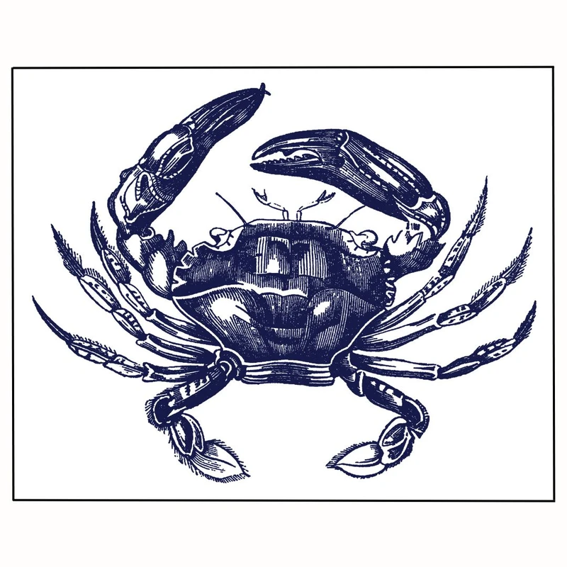 پوستر مدل  خرچنگ نیوی بلو  