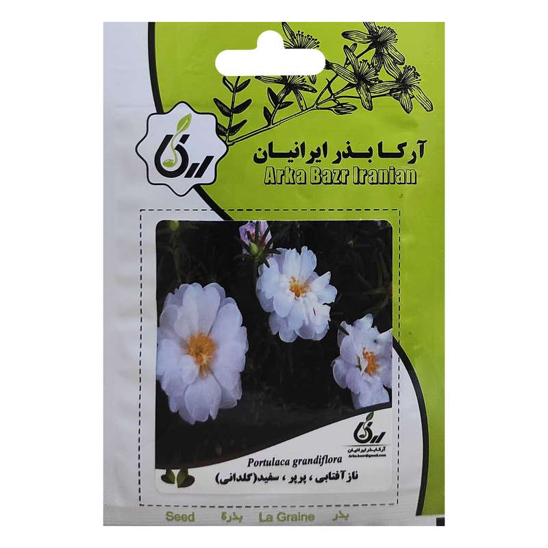 بذر ناز آفتابی پرپر سفید گلدانی آرکا بذر ایرانیان کد ARK-024