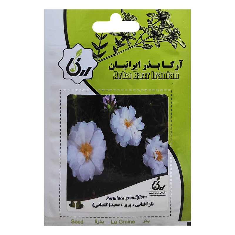 بذر ناز آفتابی پرپر سفید گلدانی آرکا بذر ایرانیان کد ARK-024