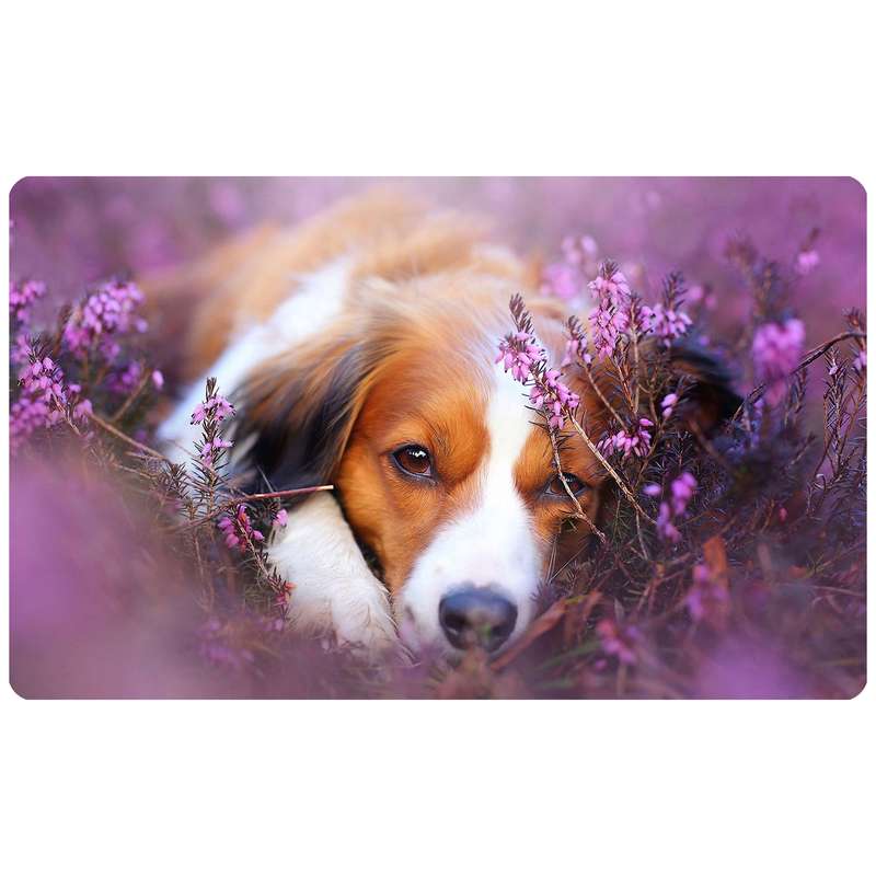 پادری طرح نوجوان مدل M4.154 سایز 46x76 سانتی متر