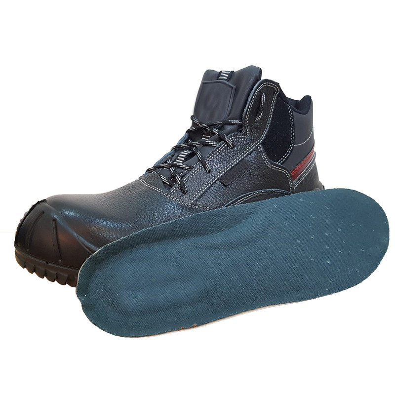 پوتین ایمنی مدل سپاستین