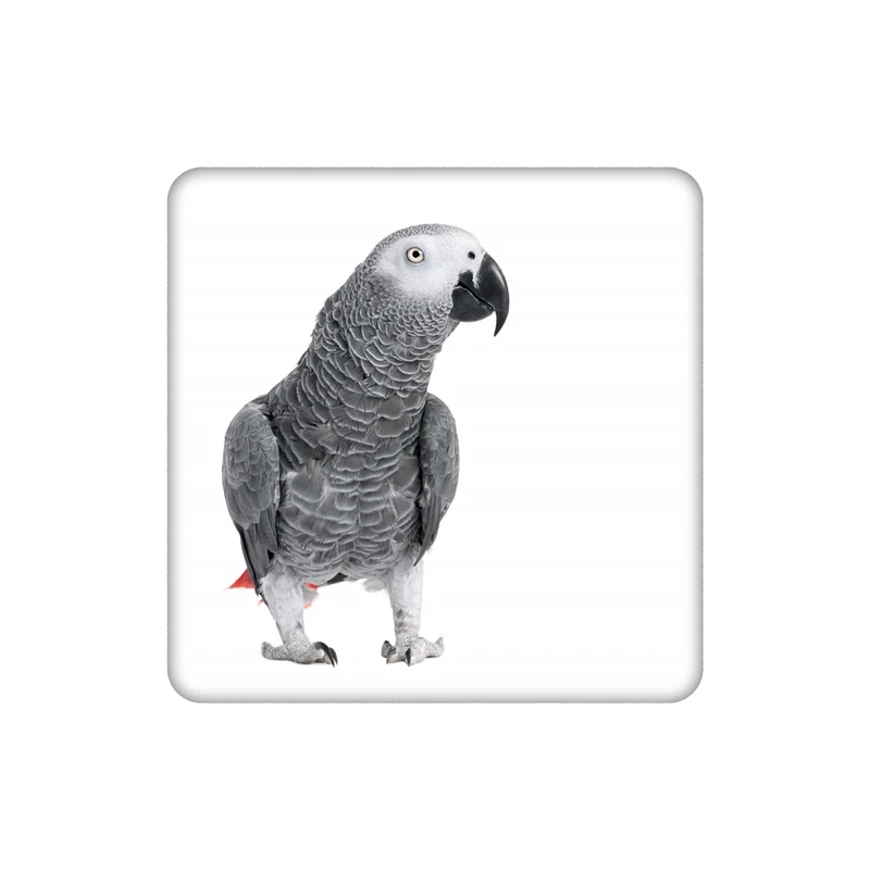 زیر لیوانی طرح طوطی کاسکو کد    5083276