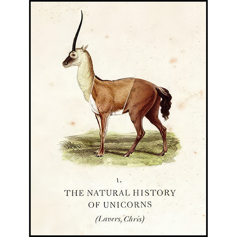 کتاب The Natural History of Unicorns اثر Chris Lavers انتشارات William Morrow کتاب The Natural History of Unicorns اثر Chris Lavers انتشارات William Morrow