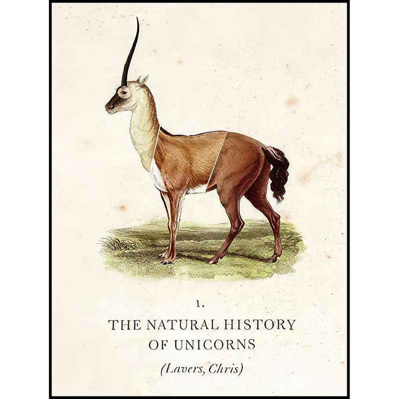 کتاب The Natural History of Unicorns اثر Chris Lavers انتشارات William Morrow کتاب The Natural History of Unicorns اثر Chris Lavers انتشارات William Morrow