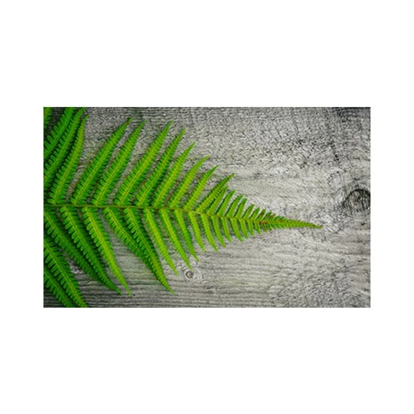  پادری مدل گل و طبیعت کد M35M001-MF0151 سایز 76x46 سانتی متر