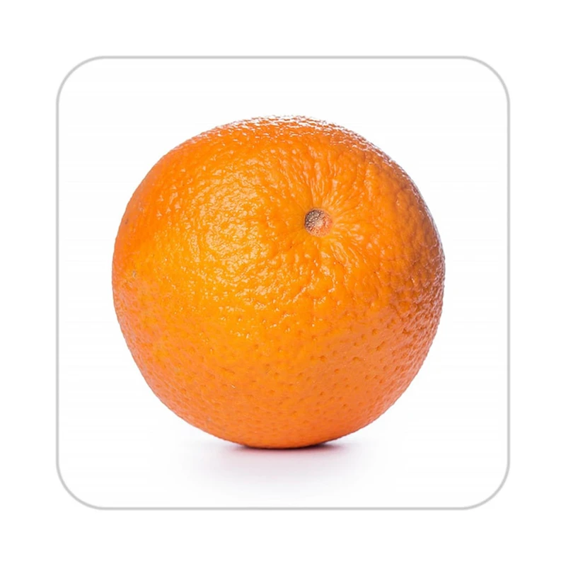 زیر لیوانی کاکتی طرح میوه مدل mp20266