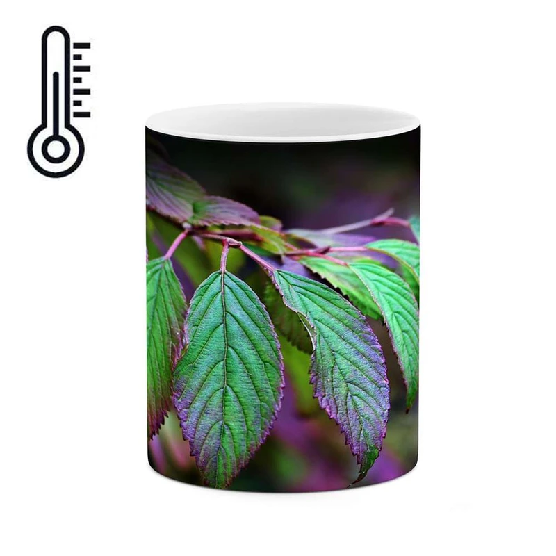 ماگ حرارتی کاکتی مدل برگ کد mgh17274