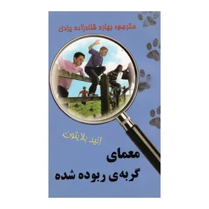 کتاب معمای گربه ی ربوده شده اثر انید بلایتون انتشارات آوای برتر