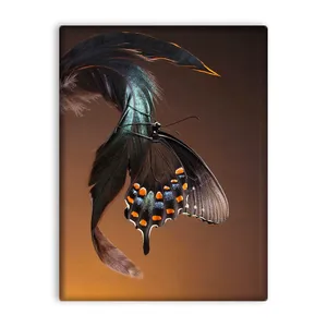 کاشی اطلس آبی طرح پروانه و پر مدل T5884