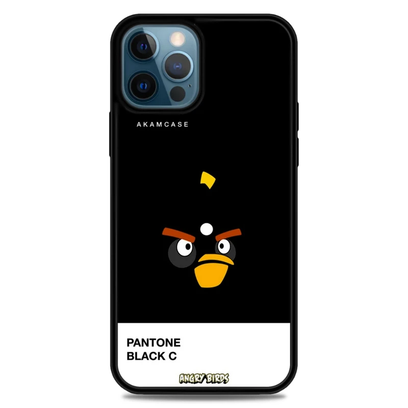 کاور آکام مدل AMC-WA12PROMAX-ANGRY BIRDS9 مناسب برای گوشی موبایل اپل iPhone 12 Pro Max