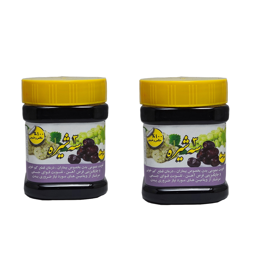 سه شیره انگور توت خرما ممتاز - 1 کیلوگرم بسته 2 عددی