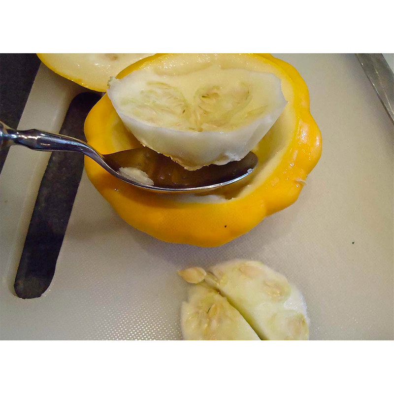 بذر کدو گوش ماهی کدو ستاره ای زرد گلس گاردن مدل GL05 بذر کدو گوش ماهی کدو ستاره ای زرد گلس گاردن مدل GL05