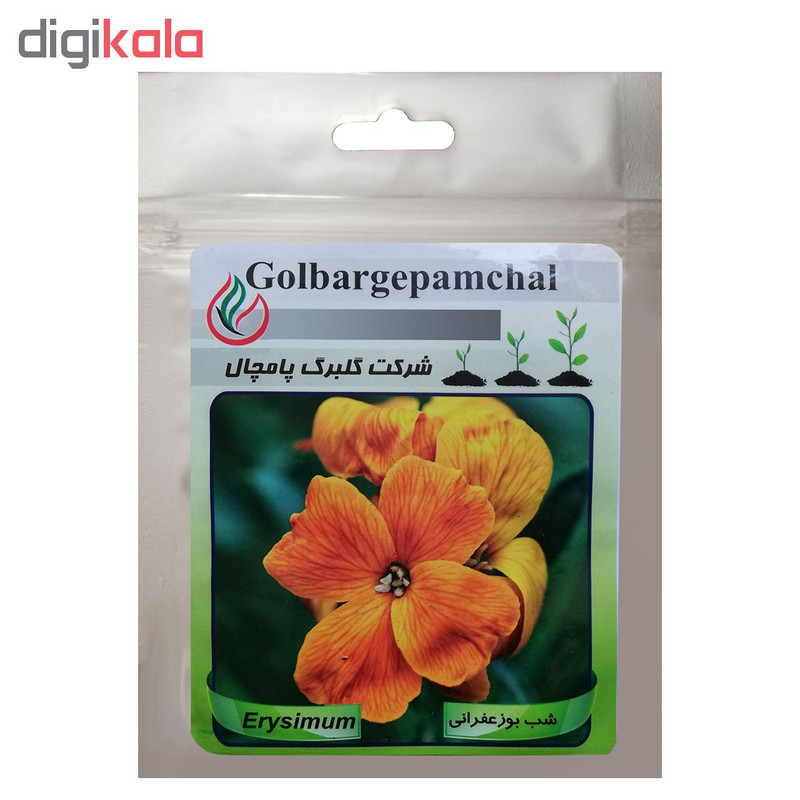 بذر گل شب بو زعفرانی گلبرگ پامچال کد GP27 بذر گل شب بو زعفرانی گلبرگ پامچال کد GP27