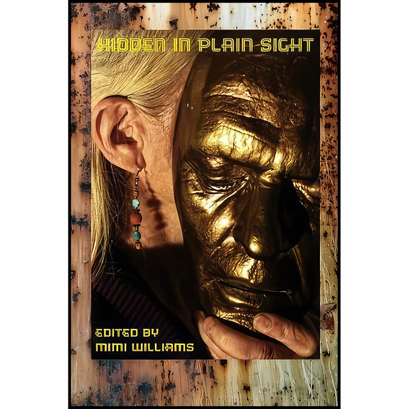 کتاب Hidden in Plain Sight اثر جمعي از نويسندگان انتشارات تازه ها