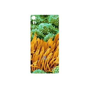 MAHOOT Atom Universe 6 Cover Sticker for Lenovo Vibe Shot