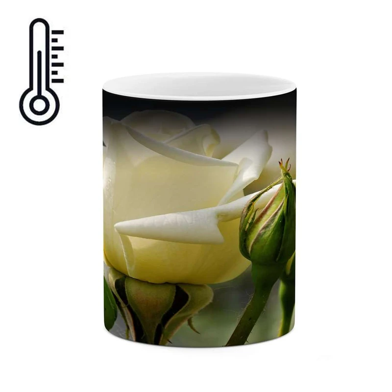 ماگ حرارتی کاکتی مدل گل کد mgh15600