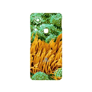 MAHOOT Atom Universe 6 Cover Sticker for Infinix Hot 11s