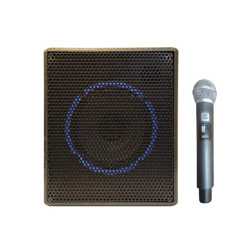 اکو همراه تکنو آوا مدل T419 به همراه میکروفن UHF