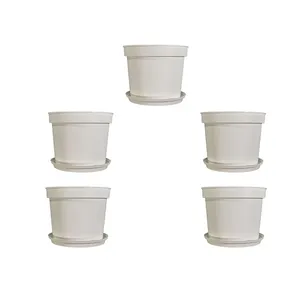 گلدان و زیرگلدانی پاچیرا مدل a23w سایز ۲۳ سانتی‌متر مجموعه ۵ عددی