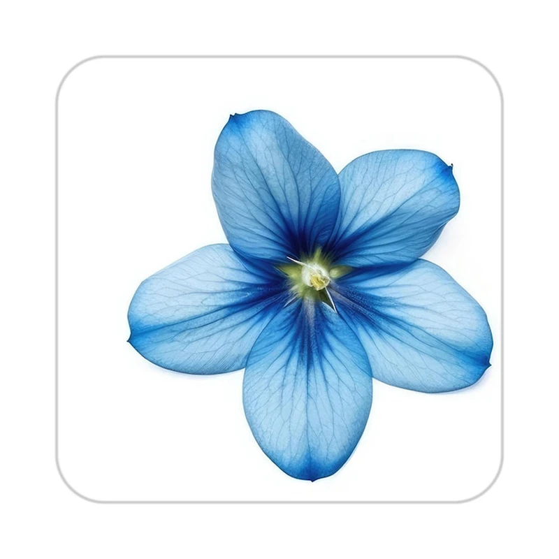 زیر لیوانی کاکتی طرح گل مدل mp16459