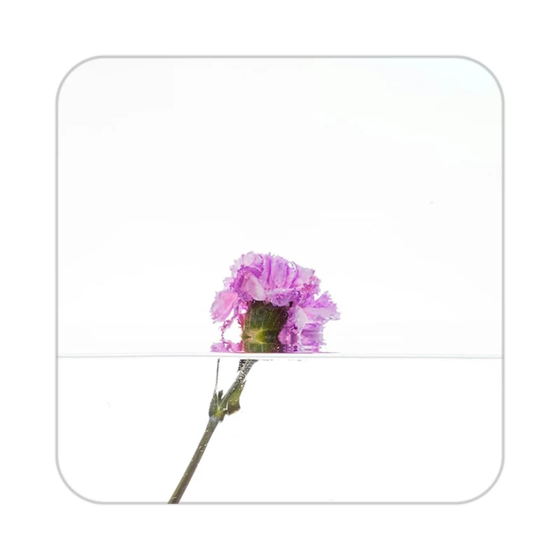 زیر لیوانی کاکتی طرح گل مدل mp18546