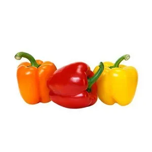 فلفل دلمه ای رنگی - 500 گرم