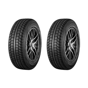 لاستیک خودرو جی تی رادیال مدل BXT PRO سایز 205/60/14 - دو حلقه