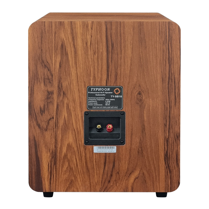 ساب ووفر پسیو تایفون مدل TY-SB10