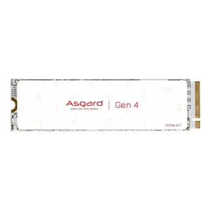 اس اس دی اینترنال ازگارد مدل AN4 GEN4 ظرفیت دو ترابایت
