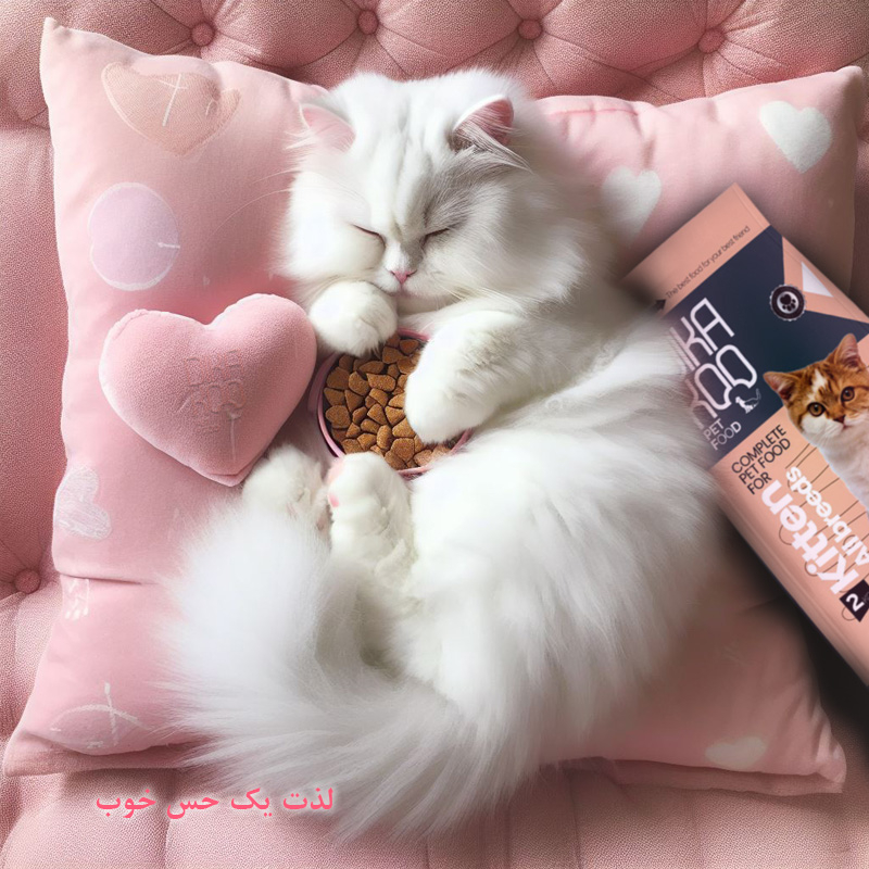 غذای بچه گربه دیکاکو مدل KITTEN وزن 2 کیلوگرم