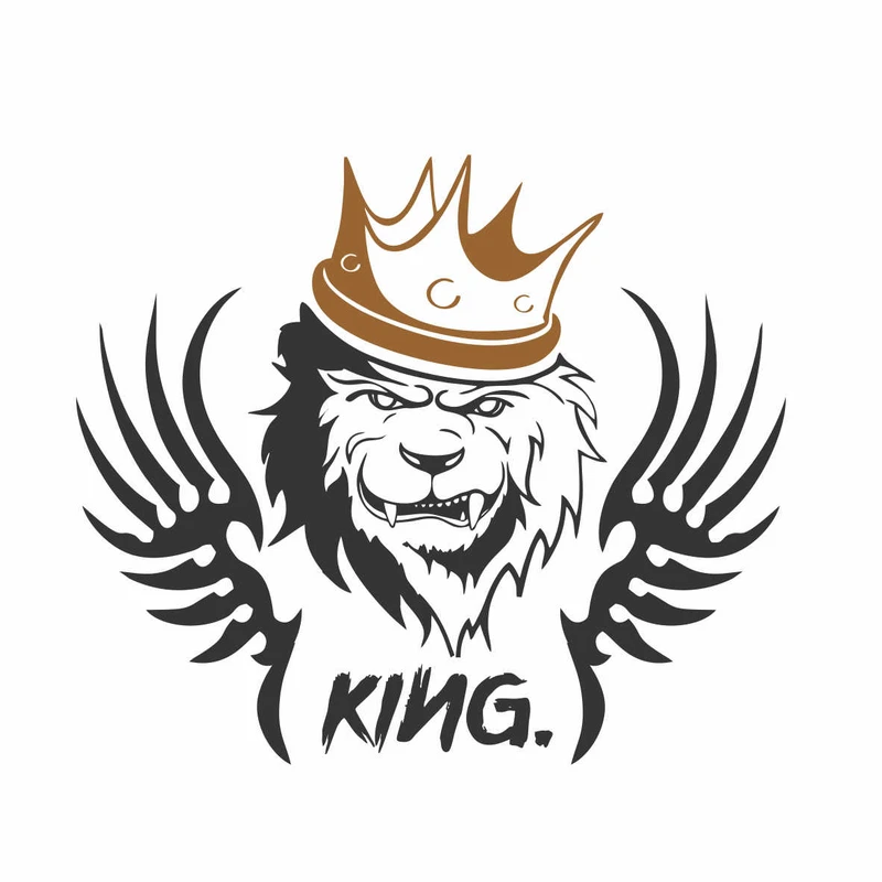 برچسب بدنه خودرو رادیانس طرح King fly کد B20