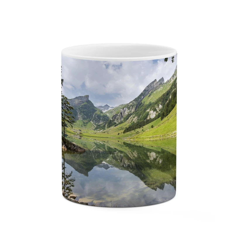 ماگ کاکتی مدل منظره کد mgh17770