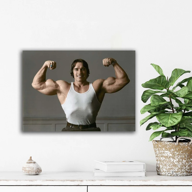 تابلو شاسی آتریسا مدل آرنولد