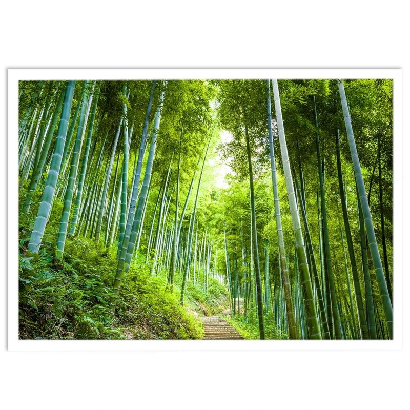 تابلو نوری بکلیت طرح منظره جنگل بامبو مدل W-S1144