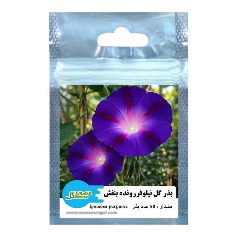 بذر گل نیلوفررونده بنفش منصوری گل کد Mip50 وزن 1.5 گرم
