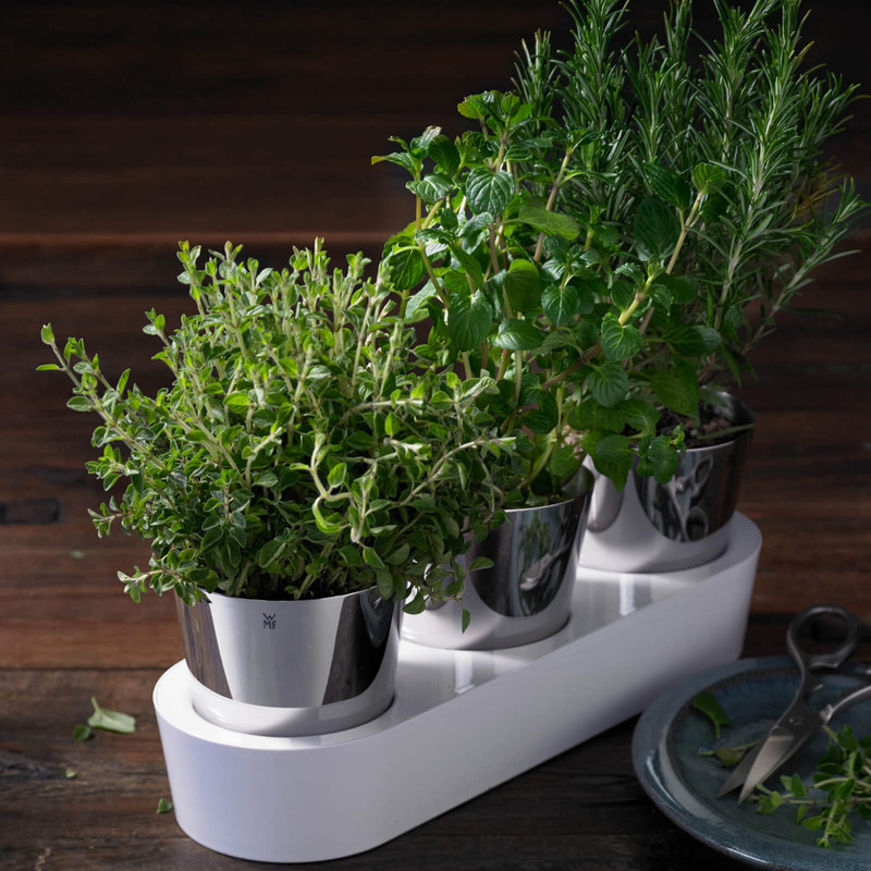 گلدان هوشمند دبلیو ام اف مدل B3 مجموعه سه عددی