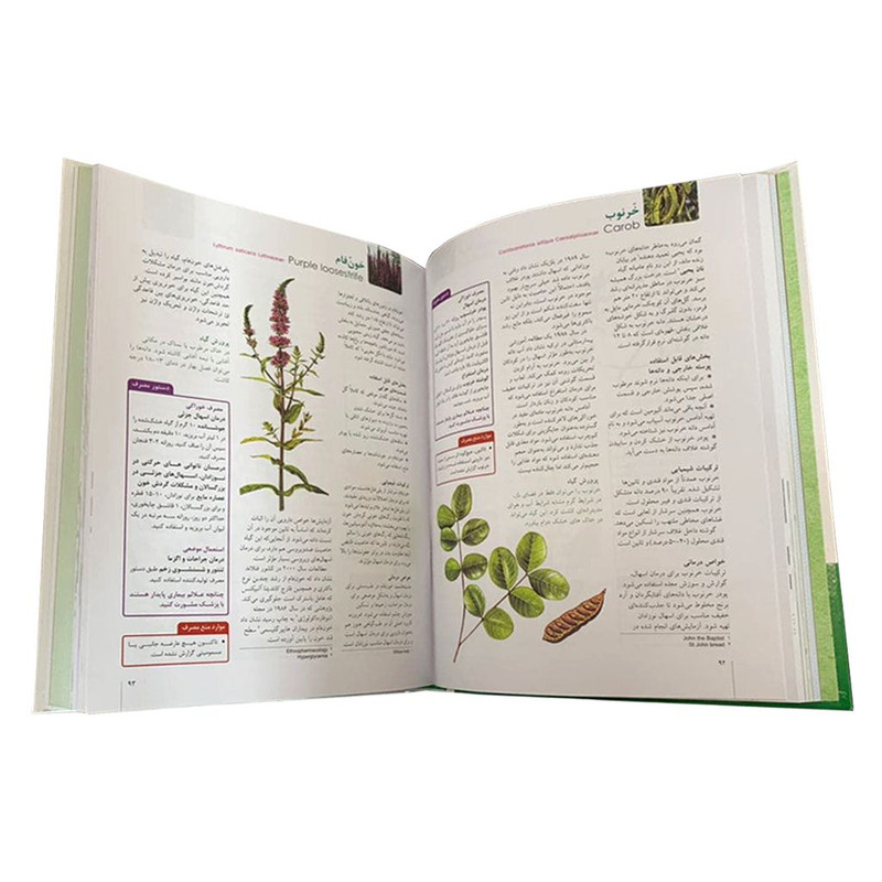 کتاب فرهنگ گیاهان دارویی اثر مائده سرلک و احمد اکبری نشر دانش پرور بصیر کتاب فرهنگ گیاهان دارویی اثر مائده سرلک و احمد اکبری نشر دانش پرور بصیر