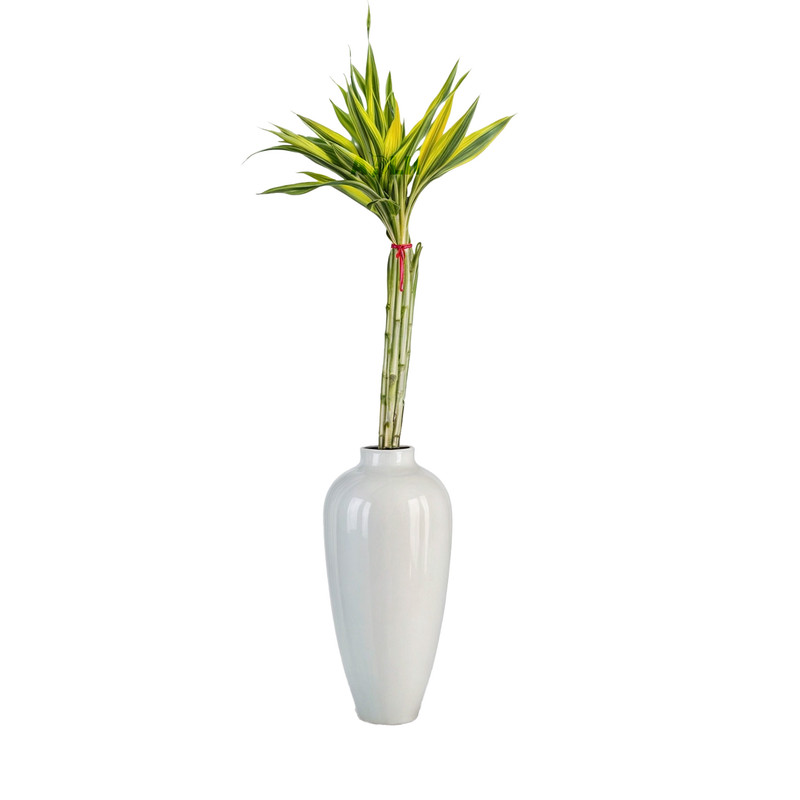 گیاه طبیعی بامبو مدل رومیزی ابلق کد 91