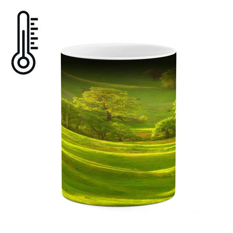 ماگ حرارتی کاکتی مدل طبیعت کد mgh12173