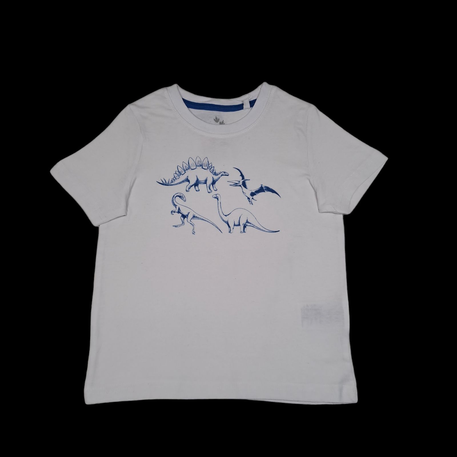 تی شرت آستین کوتاه پسرانه لوپیلو مدل دایناسور  -  - 4