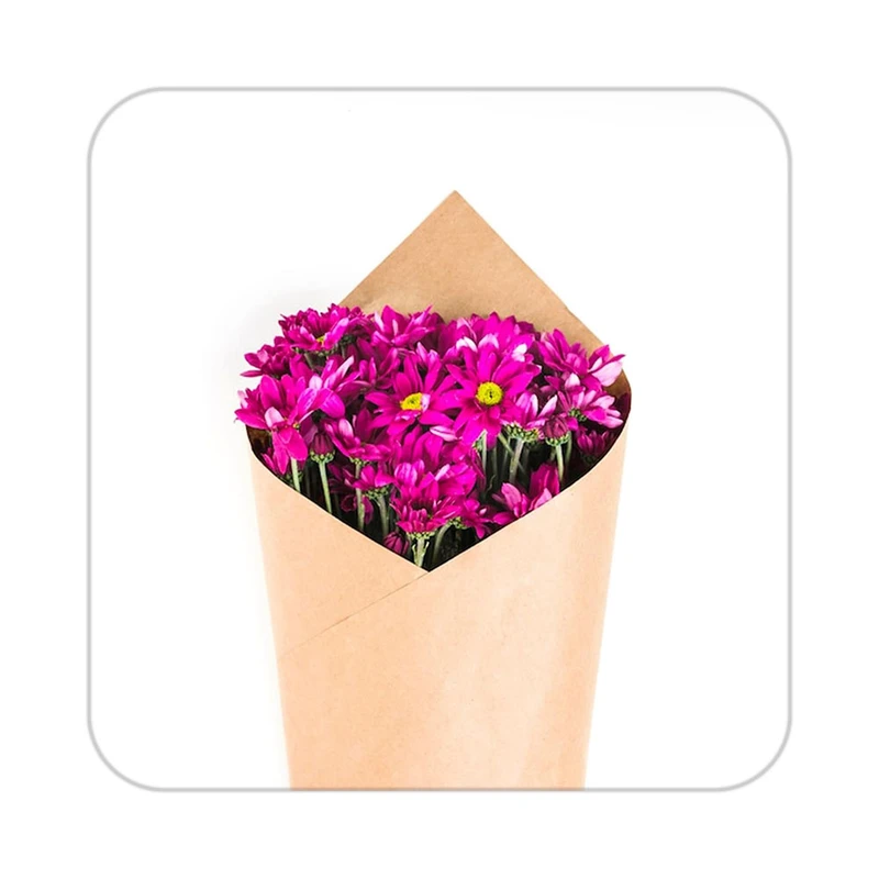 زیر لیوانی کاکتی طرح گل مدل mp18373