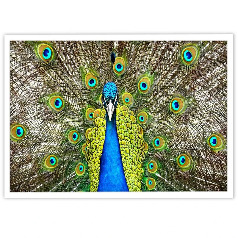 تابلو بکلیت طرح پرندگان طاووس مدل W-10337