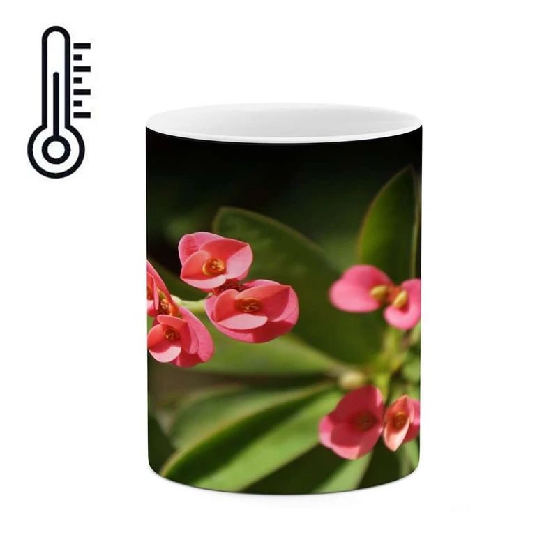 ماگ حرارتی کاکتی مدل گل کد mgh17712