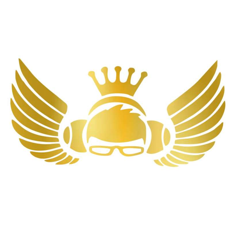 برچسب بدنه خودرو شیپرش طرح بال کد SB009