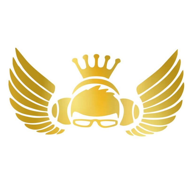 برچسب بدنه خودرو شیپرش طرح بال کد SB009